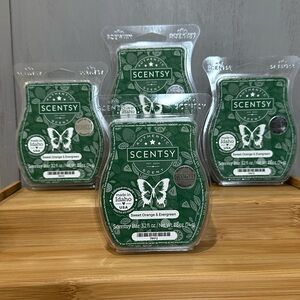 NEW Scentsy Bars Sweet Orange & Evergreen Bundle